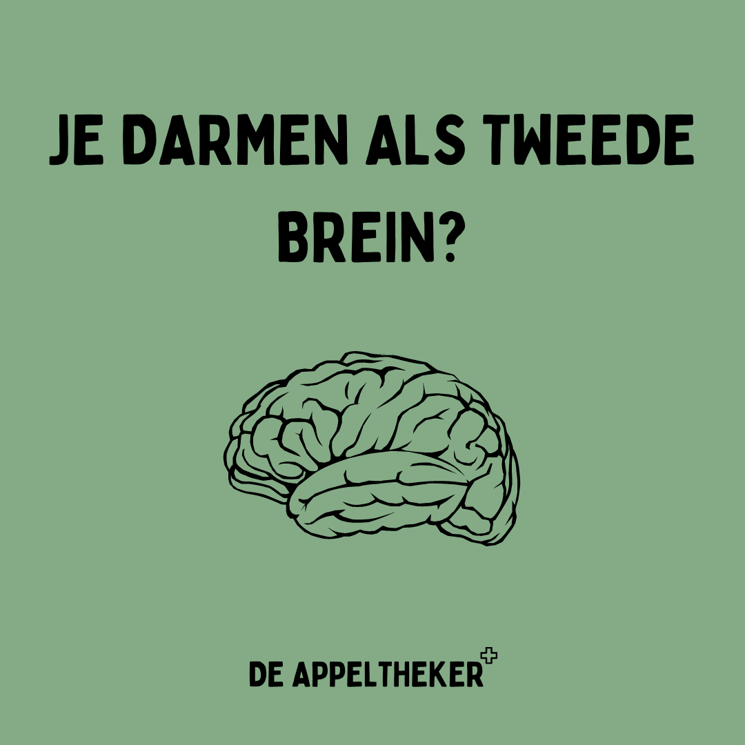 brain-gut connection appeltheker