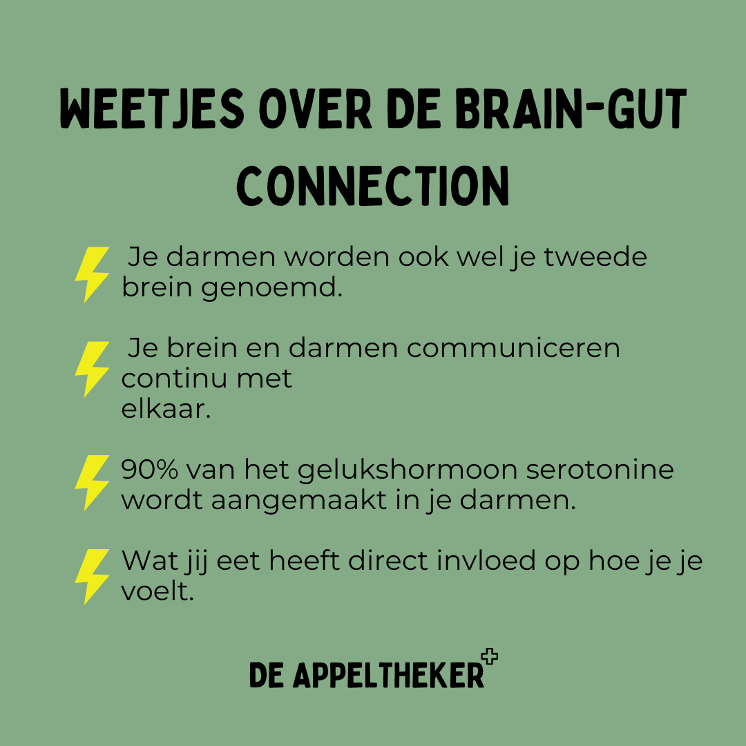 brain-gut connection appeltheker