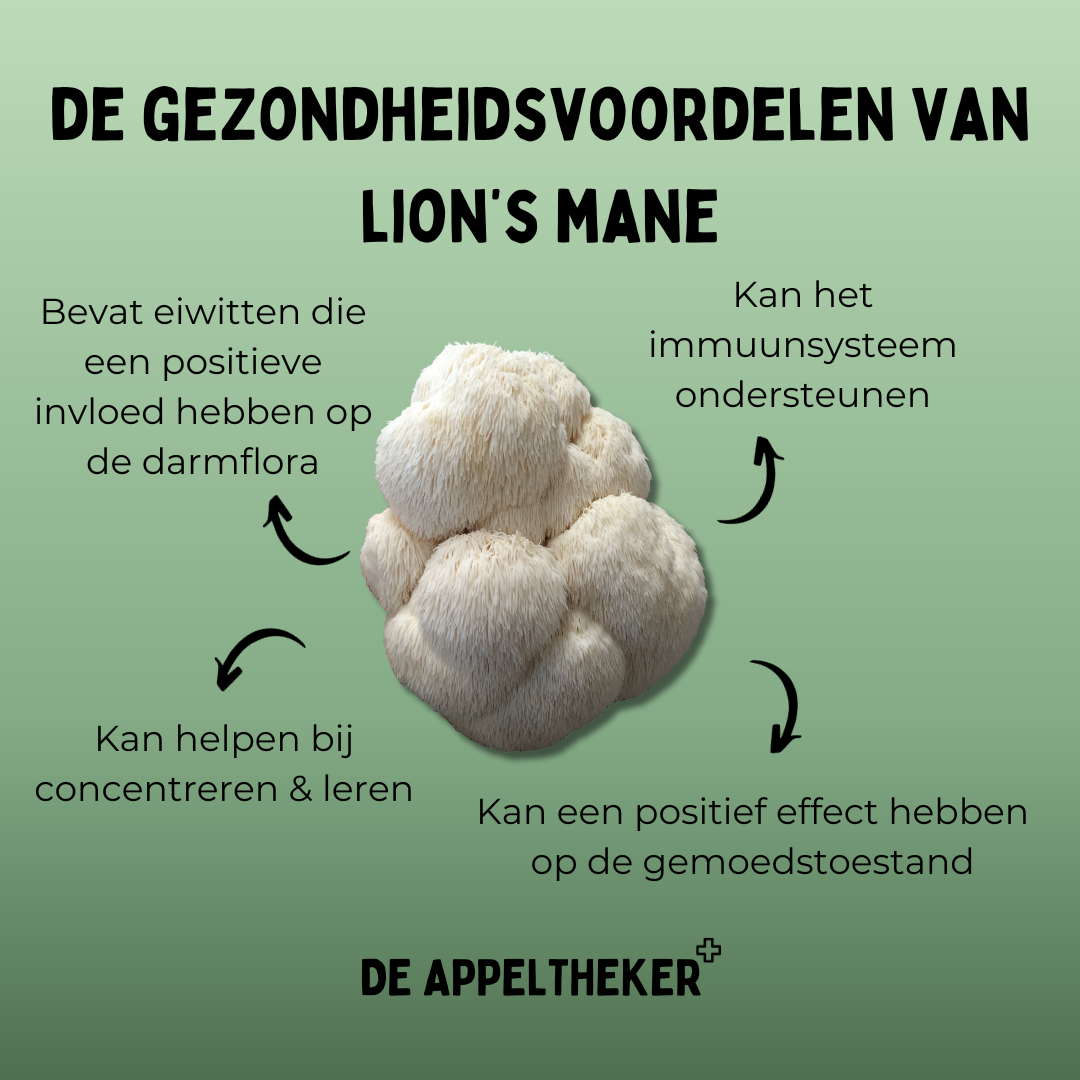 Gezondheidsvorodelen lions mane